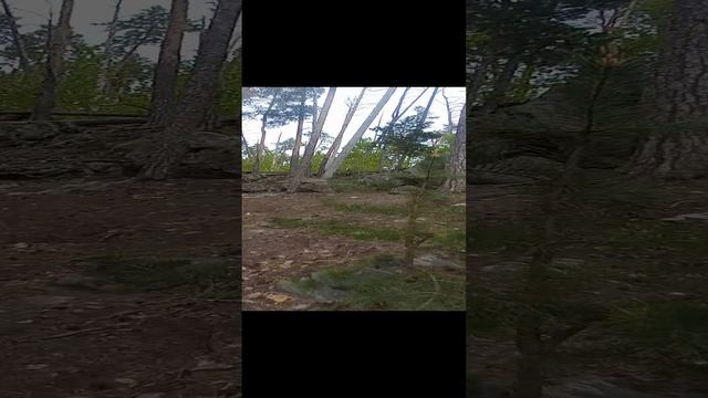 1000079108.mp4