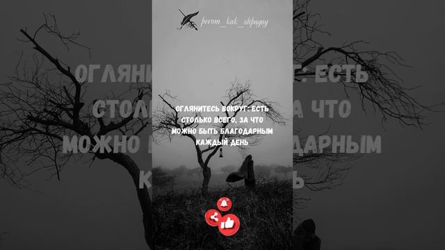 Мудрость и вдохновение.