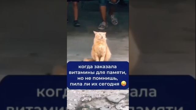 Таблетки для памяти