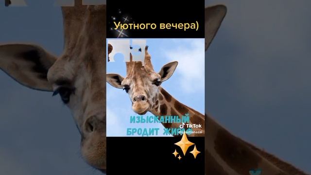 уютного вечера)