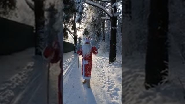 Дед Мороз в Раменском. Поздравление с Новым годом детям для ребёнка из леса. Новый 2025 год.