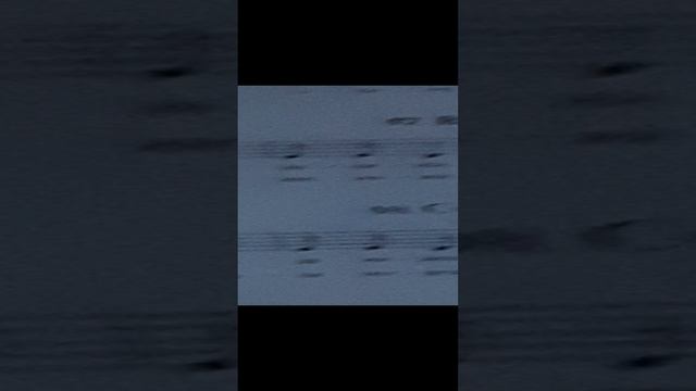 20241208_214329.mp4