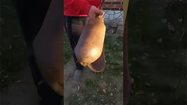 А советское качество, когда служит всю жизнь.