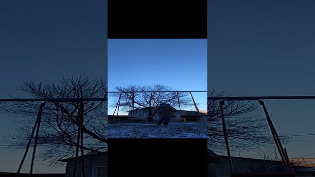прогулка с Басиком🐈⬛