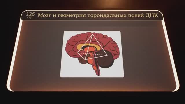 4. Мозг и геометрия тороидальных полей ДНК. Продление жизни. Взрыв ДНК. Огненное крещение (Часть 4)