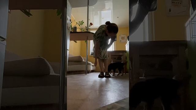 Первые уроки воспитания 😍🥰😘