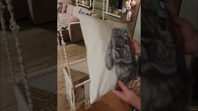 VID_20241208_012928_827.mp4