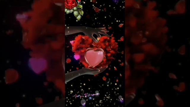 Video.Guru_20241208_055052527.mp4