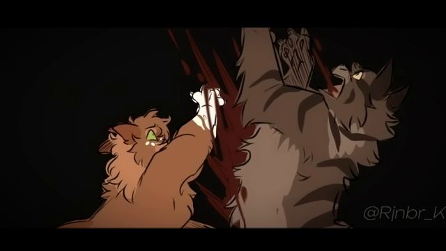 Белка, Лже-Ежевичная звезда и Бич