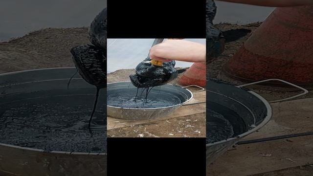 Шугаринг. Ощип утки и  удаление пеньков смолой.