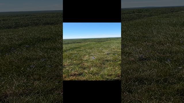 Сезон 15 серия 53 Долгий отход