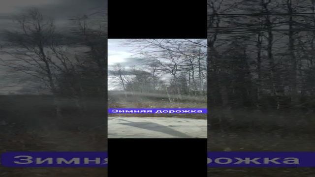 Зимняя дорожка