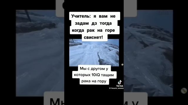 когда рак на горе свистнет