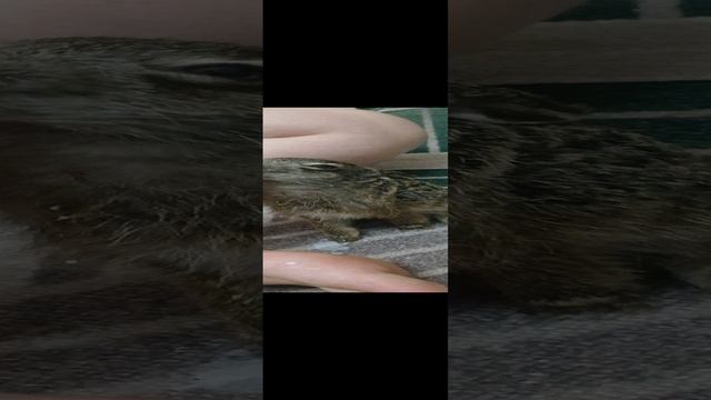 1000362884.mp4