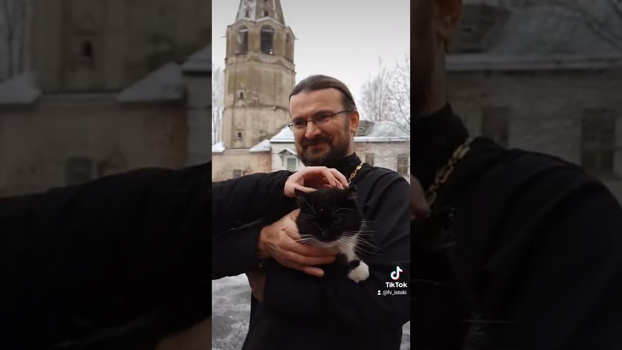Новгородский кот
