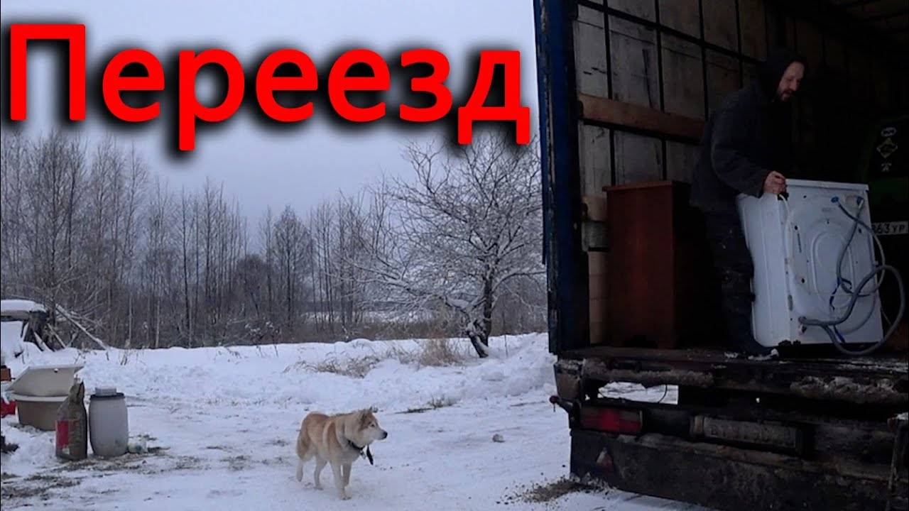 Новый обитатель не нашей деревни.