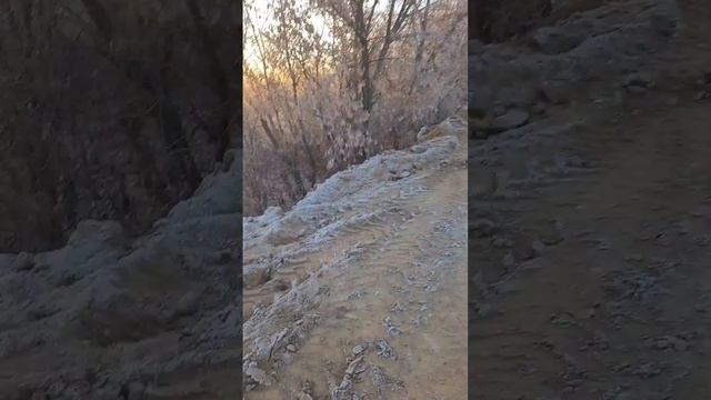 Погода в Уральске 8.12.24