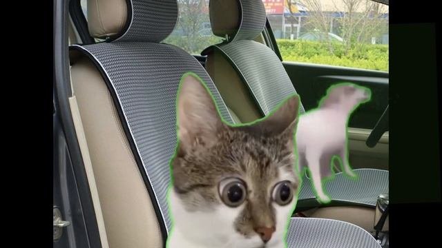 Дочь, покатай меня﷽