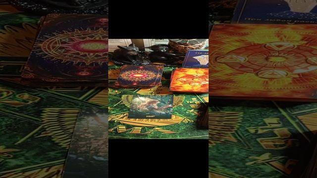 1000022441.mp4