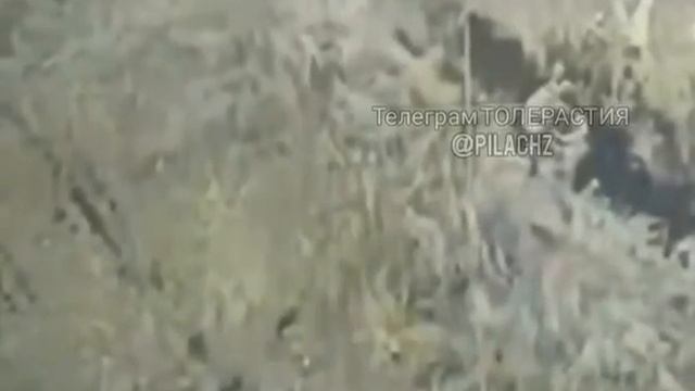 Наш штурмовик не оставил шансов!...