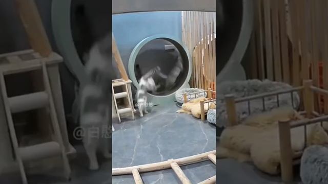 Поддержи подпиской 🙏🙏