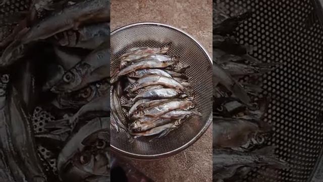 lv_0_20241208195333.mp4
Вяленая мойва