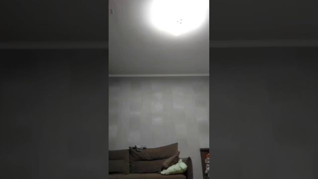 подпешись сто панемаю