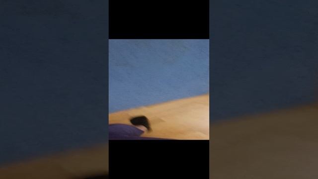 1000005473.mp4