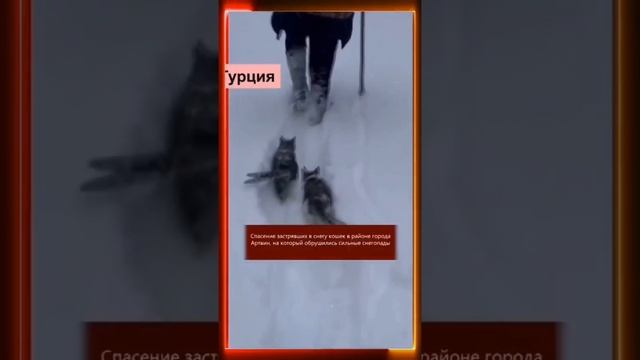 07.12.2024 Что произошло в мире