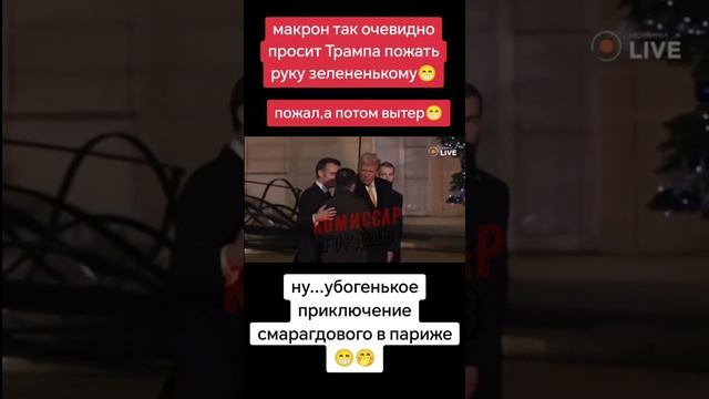 Пес смердящий плетется за хозяевами🤢