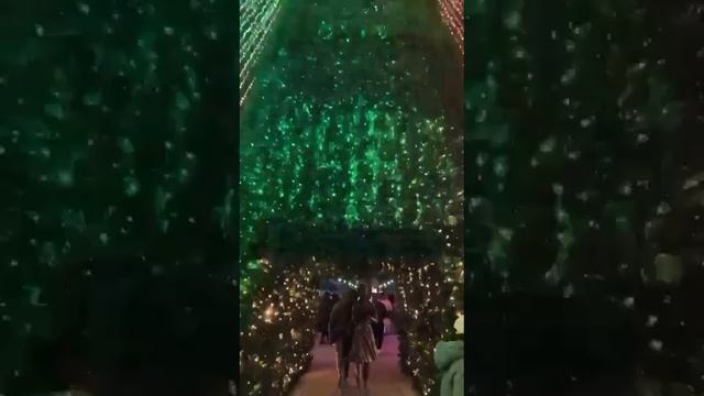 Краснодар_ Чувствуется рука Галицкого