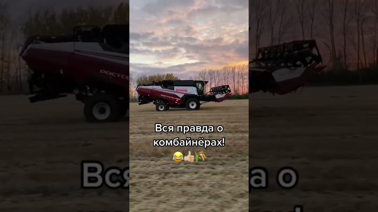 вся правда о комбайнерах #комбайнеры #рекомендации #рек #комбайн #работа #пшеница