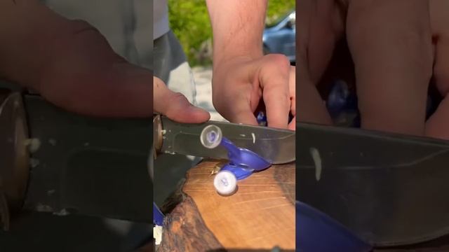 Королева охоты — Квин #russia #топ #обзор