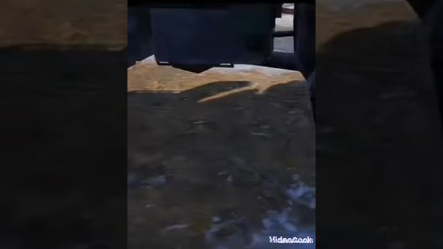 ТРЕНД?