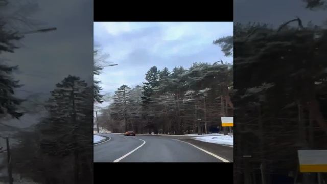 Минивэнгрупп - больше, чем просто трансфер.