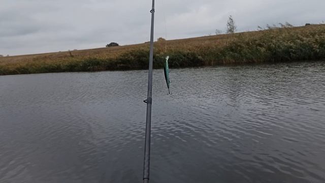 VID_20241015_115527.mp4