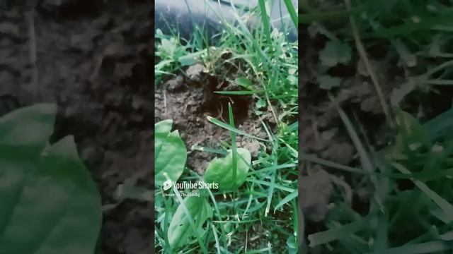 11 июля 2024 г..mp4