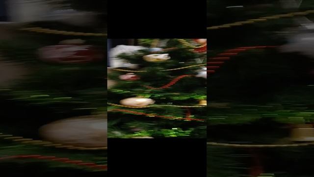 1000002107.mp4