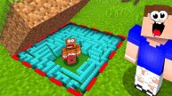 Я Построил ЛАБИРИНТ и ЗАСЕКРЕТИЛ Его в Майнкрафт! Minecraft