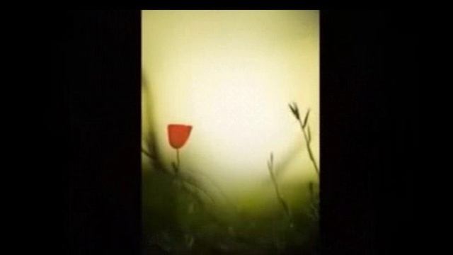 ЗАБЫТЫЕ КОНЦЕРТЫ ОП-24, Концерт 015, Композ. на стихи Н. Зеленоглазой, МУЗ. И ИСП. С. ФРУМОВИЧ