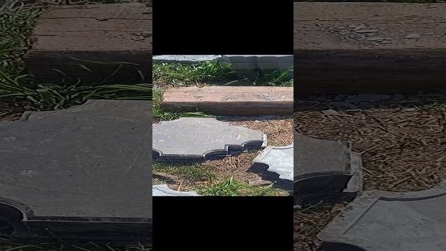 ТРОТУАРНАЯ ПЛИТКА..СУШКА НА СОЛНЦЕ