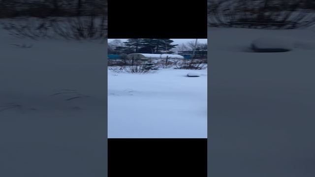 Север всегда снежный .