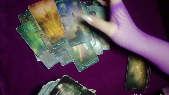 Что принесут Вам отношения с Новым знакомым и что будет дальше?