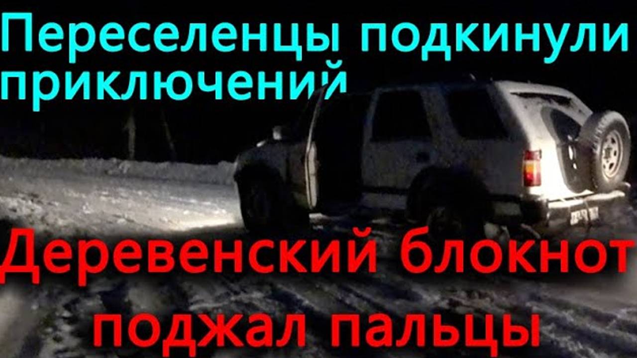 Ушел в ботинках Деревенского Блокнота. К нам приехали новые переселенцы и подкинули приключений.