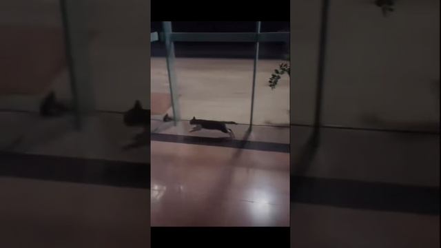 Бывает.