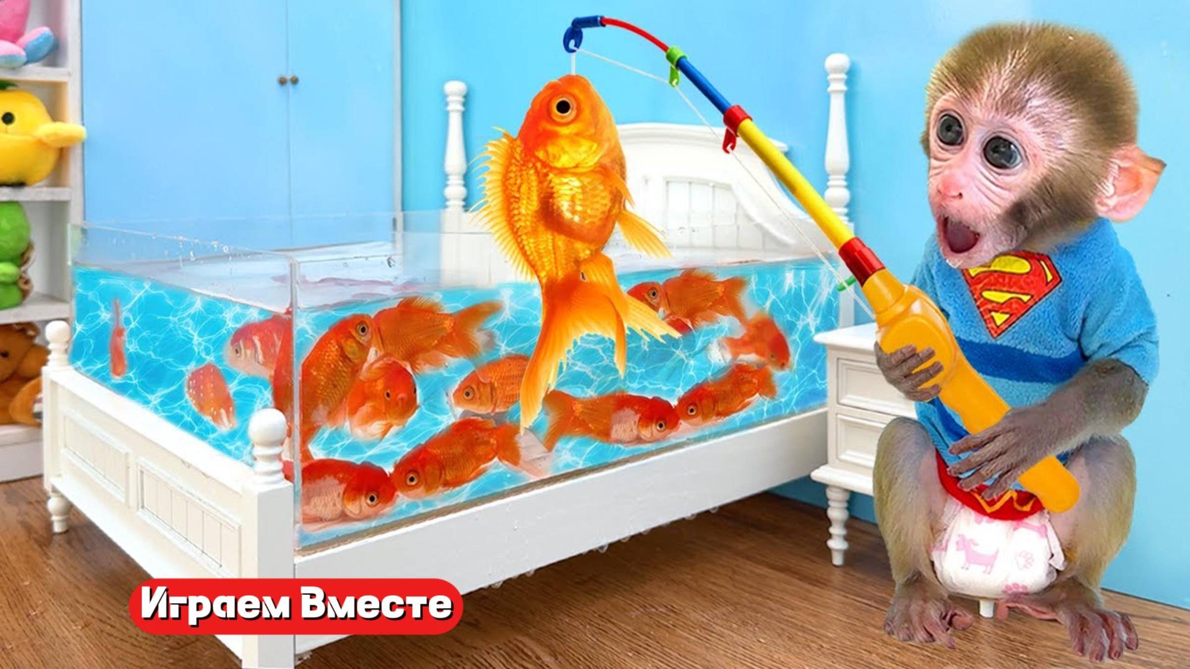 Играем вместе с обезьянкой ! Веселые приключения Обезьянки ! Видео для детей !