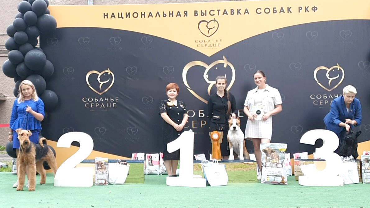 14.07.2024, СПб. Клуб "Собачье Сердце", СПб. Выставка собак CAC 3 группы FCI