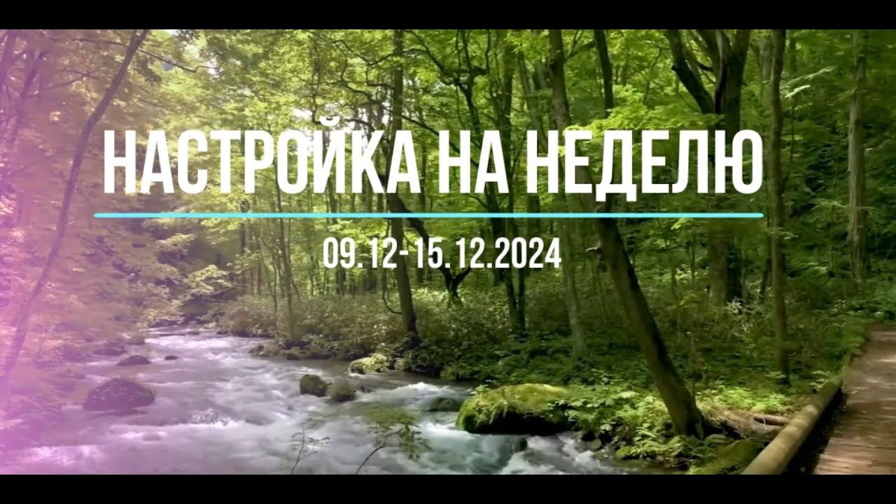 настройка на неделю 9-15.12.2024