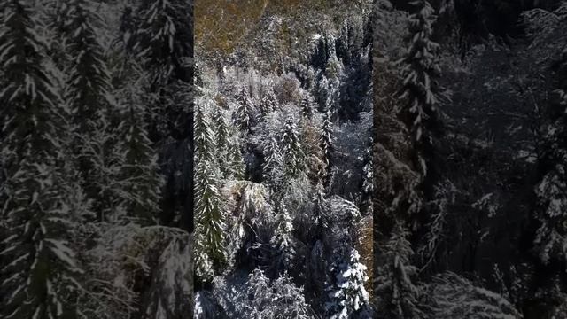 Природа Абхазии впечатляет...