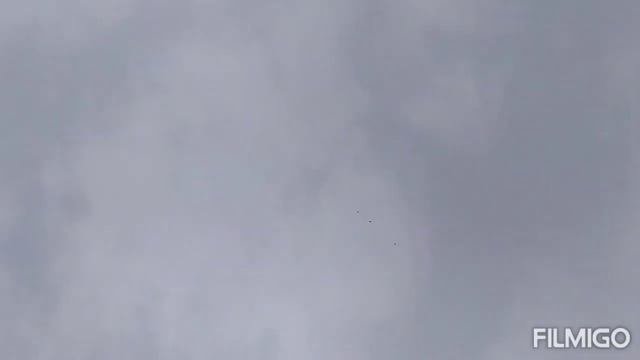 Николаевские Голуби в Сибири. Воспитательные работы.